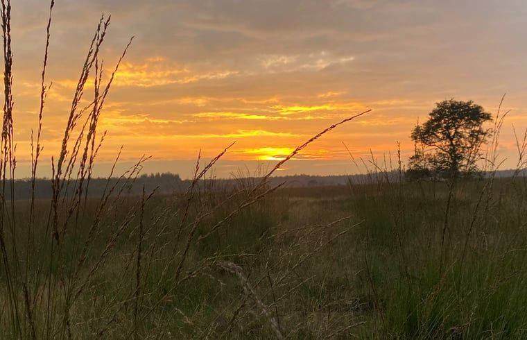 Guest house 170116 - Holiday property Midden Drenthe - Vakantiehuisje in Spier