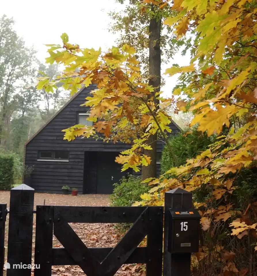 Unterkunft 170309 - Ferienhaus Midden Drenthe - It Bosk