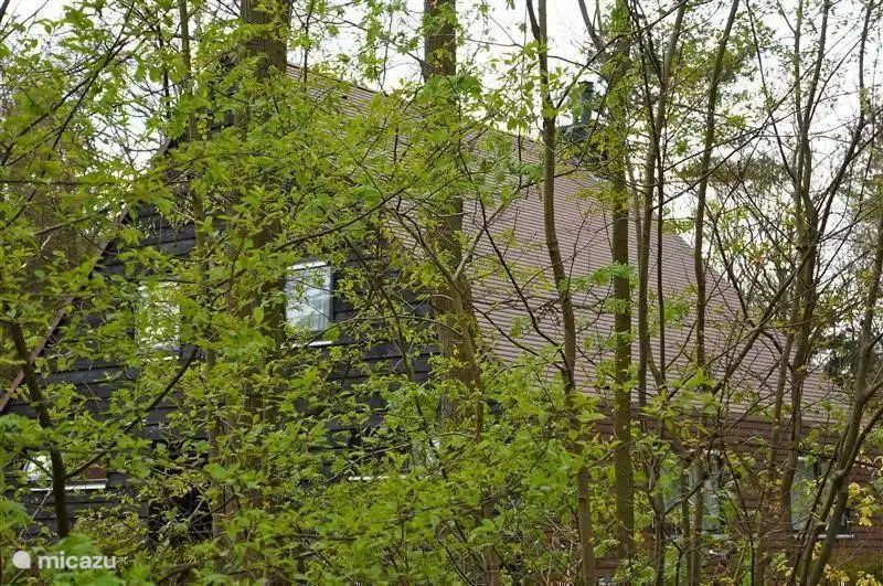 Unterkunft 170309 - Ferienhaus Midden Drenthe - It Bosk