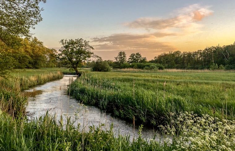 Unterkunft 170408 - Ferienhaus Midden Drenthe - Vakantiehuis in Schoonloo