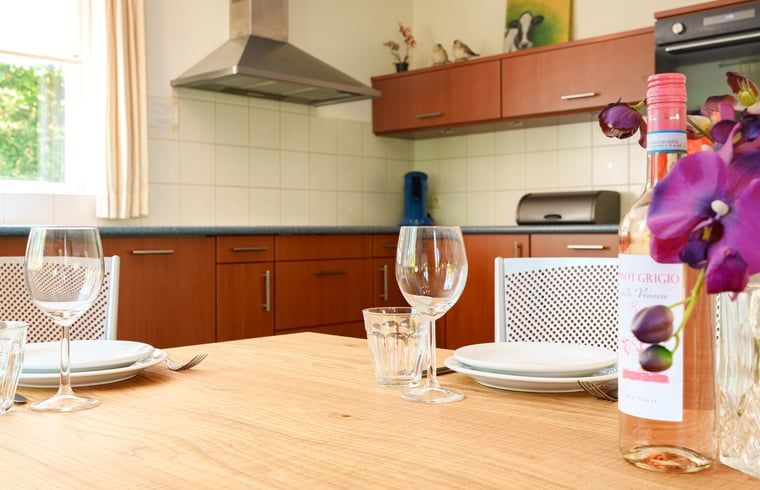 Gezellige eetruimte in Vakantiehuis in Schoonloo, Midden Drenthe, met wijn en bloemen.