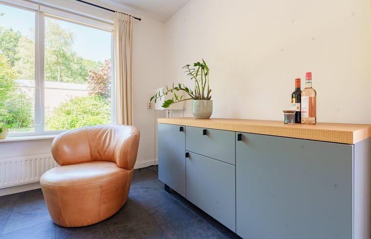 Stijlvolle zithoek in Vakantiehuis in Schoonloo, Midden Drenthe, met uitzicht op tuin.