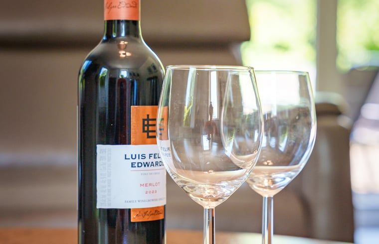 Fles wijn en glazen in Vakantiehuis in Schoonloo, Midden Drenthe, voor een gezellige avond.