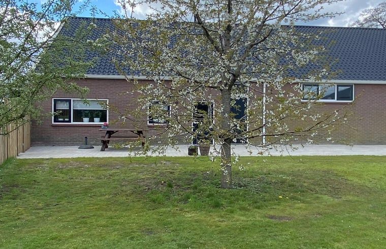 Gruener Garten mit bluehendem Baum im Ferienhaus in Beilen, Zentral-Drenthe, ideal fuer Naturliebhaber.