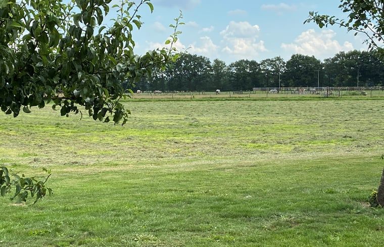 Gruene Wiese umgeben von Baeumen im Ferienhaus in Beilen, Zentral-Drenthe, ideal fuer Ruhesuchende.
