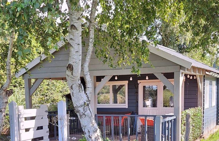 Guest house 171022 - Holiday property Midden Drenthe - Vakantiehuisje in Gasselternijveen