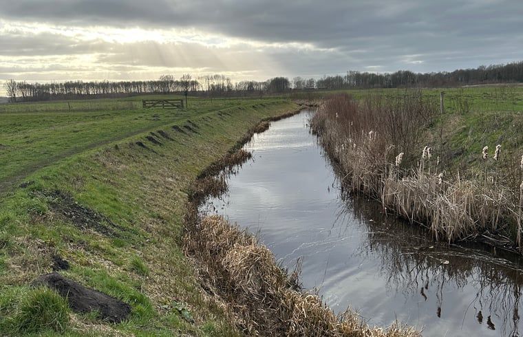 Guest house 171022 - Holiday property Midden Drenthe - Vakantiehuisje in Gasselternijveen