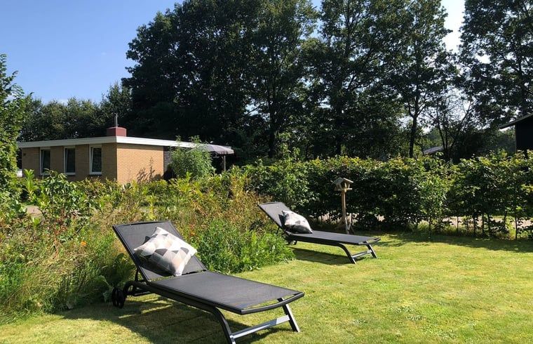 Geniet van de groene tuin en comfortabele ligstoelen bij Vakantiehuis in Gasselte, een serene vakantiewoning in Midden Drenthe, Drenthe.