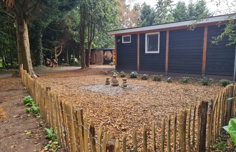Snowy terrace of Holiday cottage in Gasselte, Drenthe, with serene winter nature and an inviting porch.