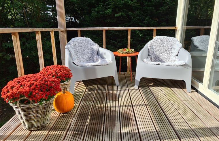 Guest house 171911 - Holiday property Midden Drenthe - Vakantiehuisje in Gasselte