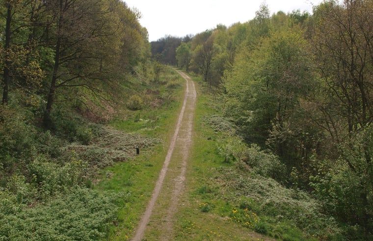 Guest house 171911 - Holiday property Midden Drenthe - Vakantiehuisje in Gasselte