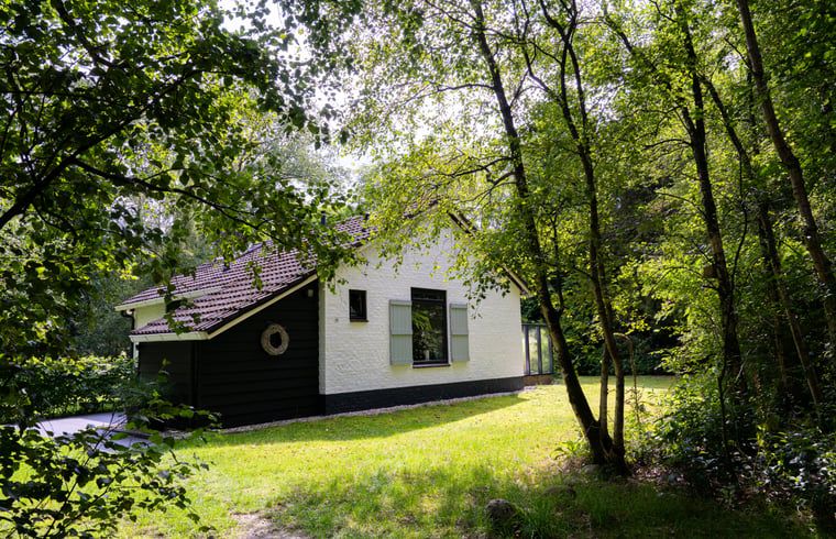 Vacation cottage in Gasselte surrounded by green nature in Central Drenthe, ideal for peace seekers.