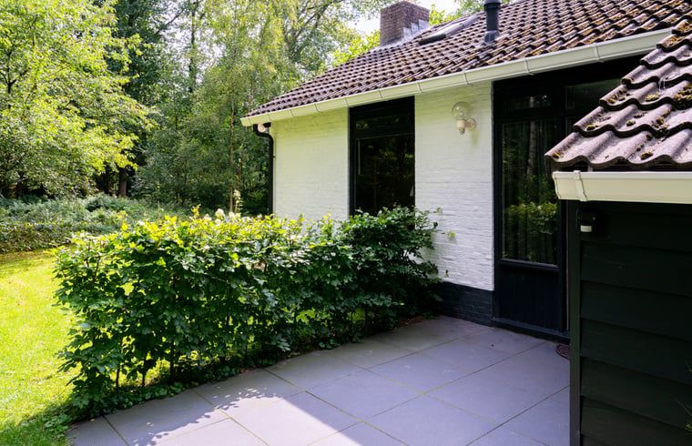 Veranda of Holiday Home in Gasselte overlooking green surroundings in Central Drenthe.