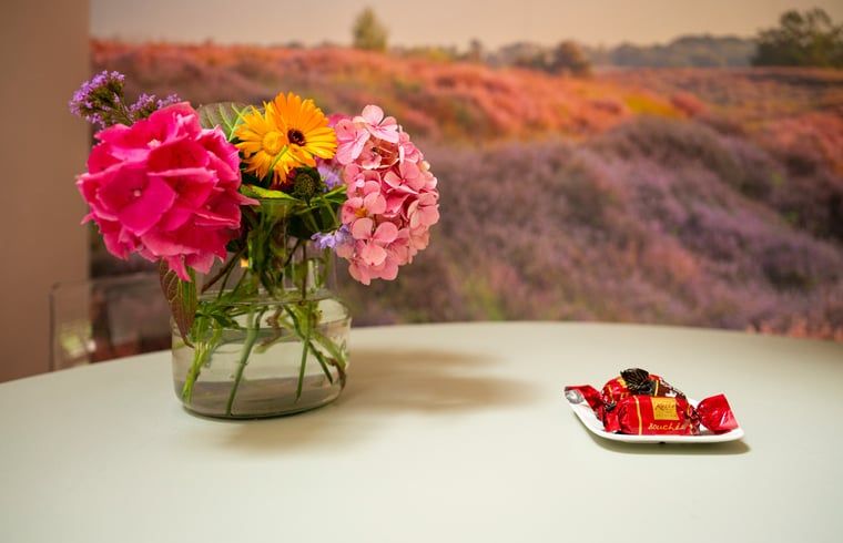 Guest house 171915 - Holiday property Midden Drenthe - Vakantiehuisje in Gasselte