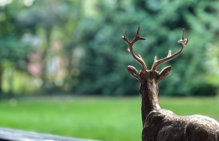 Guest house 171915 - Holiday property Midden Drenthe - Vakantiehuisje in Gasselte