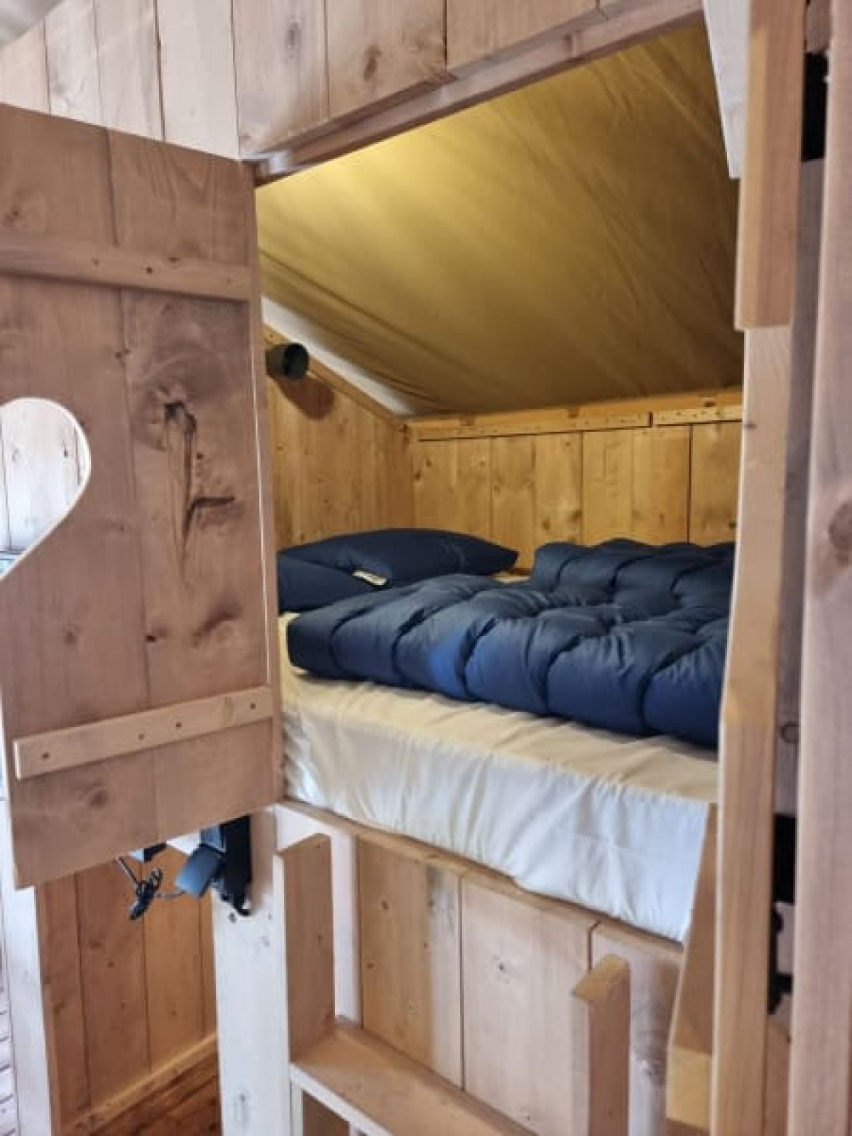 Guest house 171919 - Tent house Midden Drenthe - Luxe Safaritent + sanitair - Baars