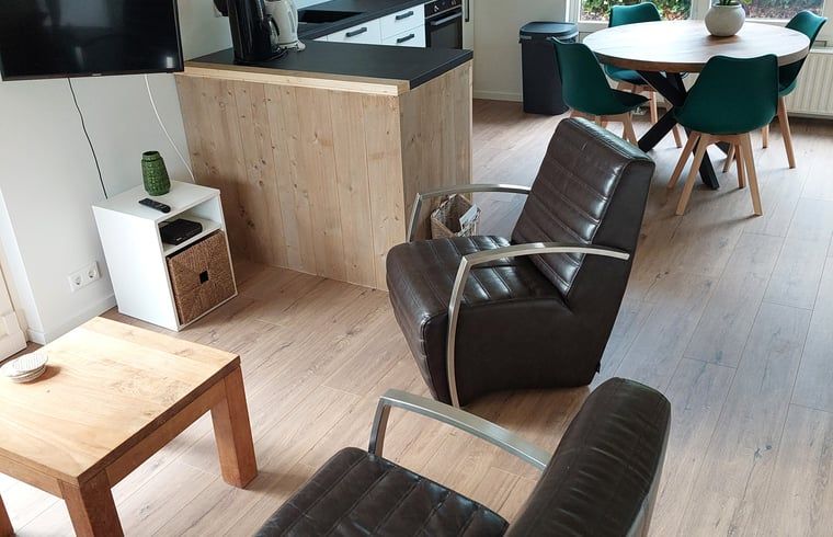 Modern interior space of Holiday Home in Gasselte, Central Drenthe, with comfortable sitting area and open kitchen ideal for relaxation.