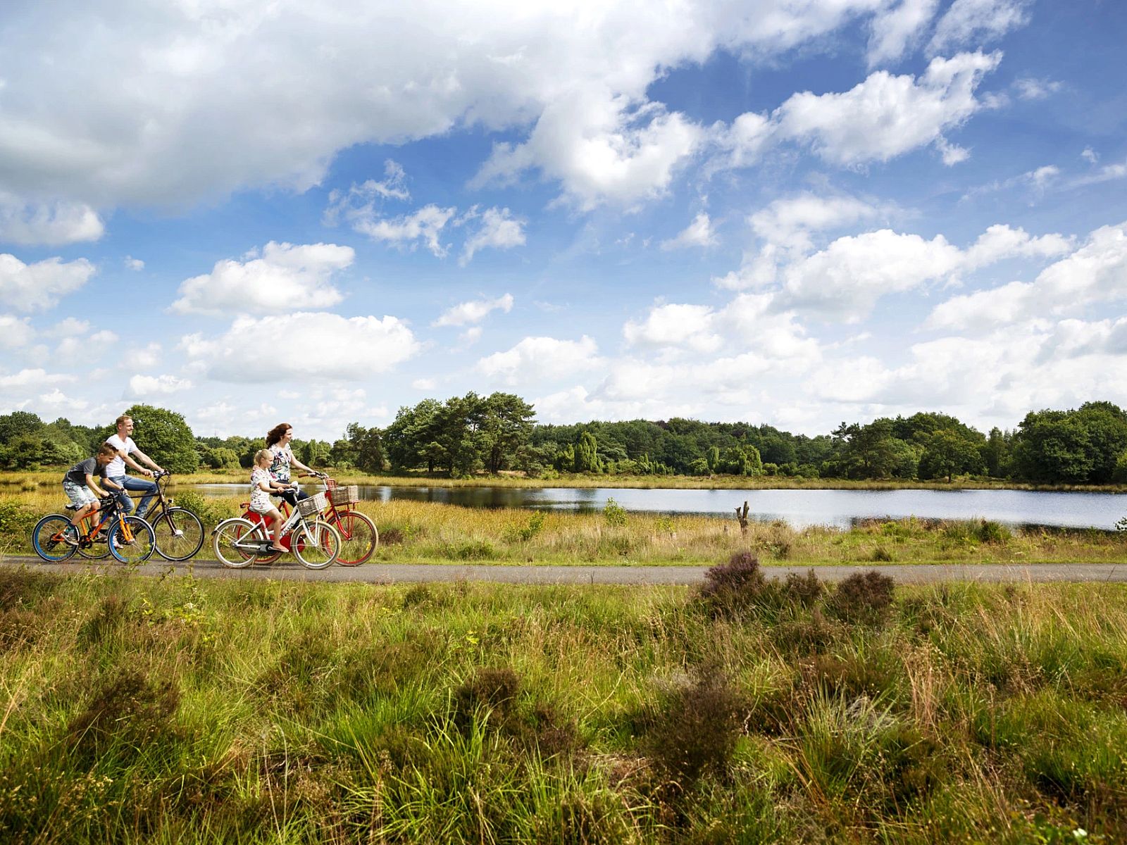 Unterkunft 171943 - Ferienhaus Midden Drenthe - Vrijstaande woning in Gasselte