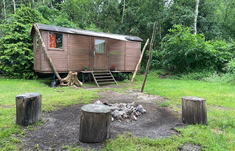 Guest house 172006 - Holiday property Midden Drenthe - Huisje in Papenvoort