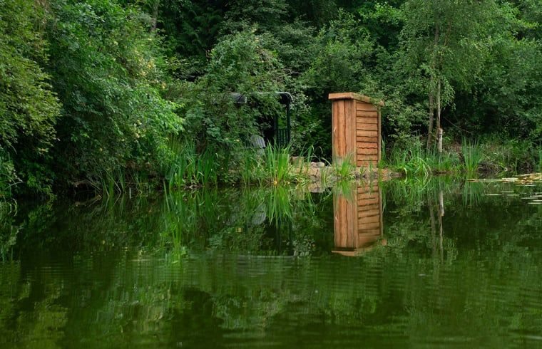 Rustieke natuurvijver bij Vakantiehuisje in Papenvoort, Midden Drenthe, omgeven door weelderig groen en serene omgeving.