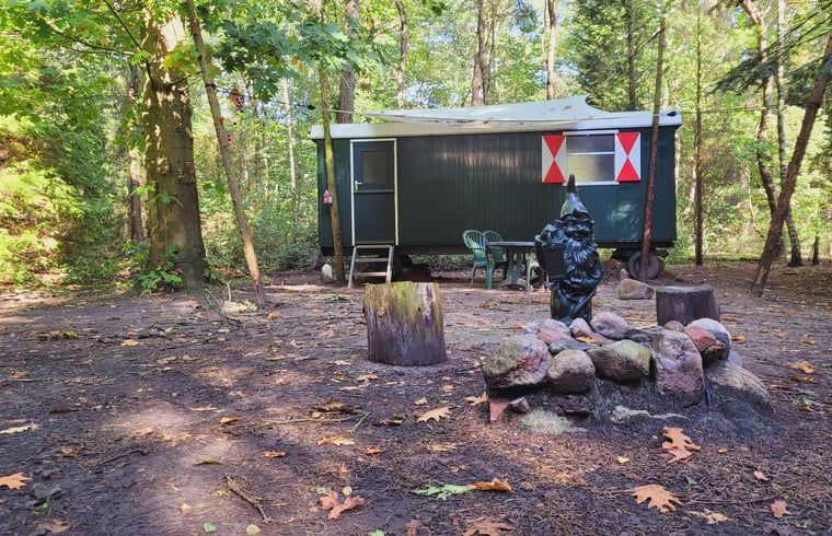 Cottage in Papenvoort, a charming cottage in Central Drenthe, surrounded by wooded nature and peaceful surroundings.