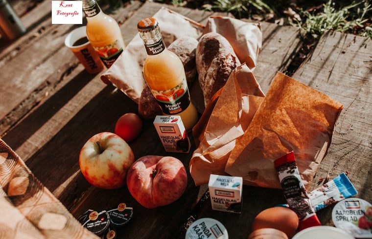 Guest house 172016 - Holiday property Midden Drenthe - Huisje in Papenvoort