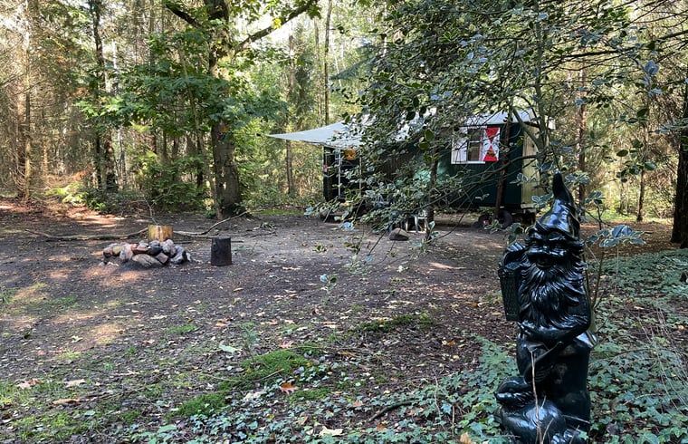 Guest house 172016 - Holiday property Midden Drenthe - Huisje in Papenvoort