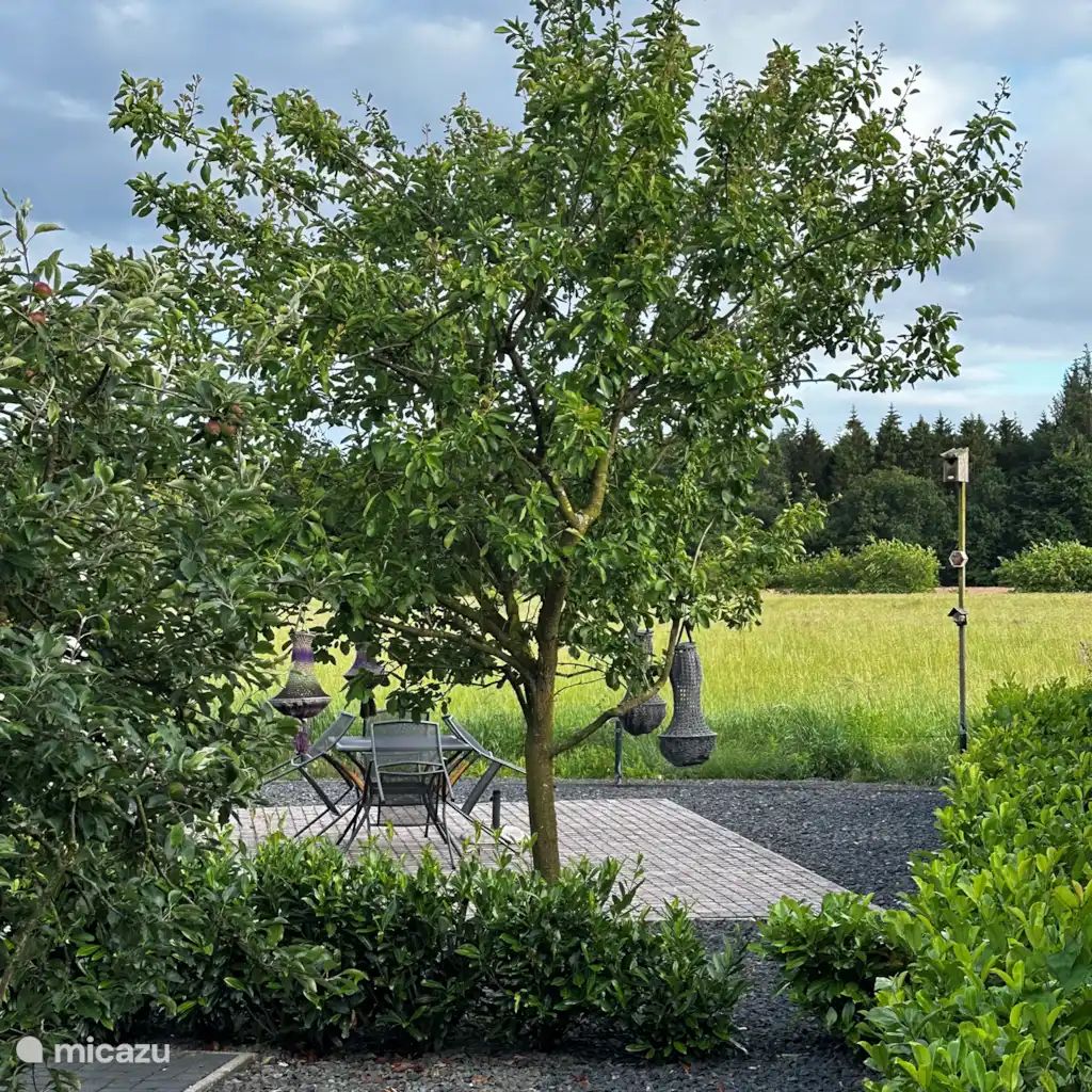 Guest house 172018 - Chalet Midden Drenthe - Chalet Drenthe, uniek vrij uitzicht