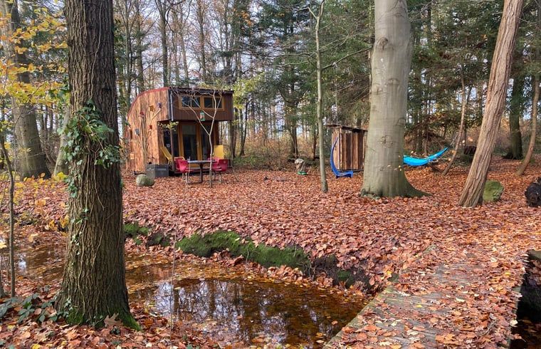 Guest house 172034 - Holiday property Midden Drenthe - Vakantiehuis in Papenvoort