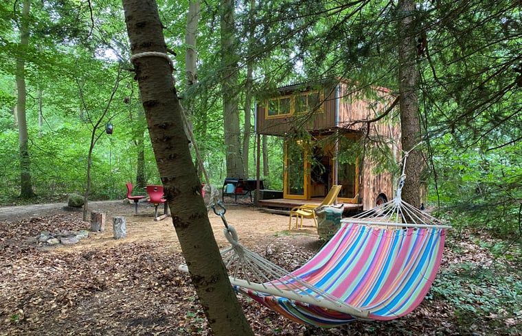 Guest house 172034 - Holiday property Midden Drenthe - Vakantiehuis in Papenvoort