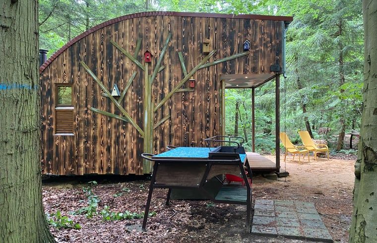 Guest house 172034 - Holiday property Midden Drenthe - Vakantiehuis in Papenvoort