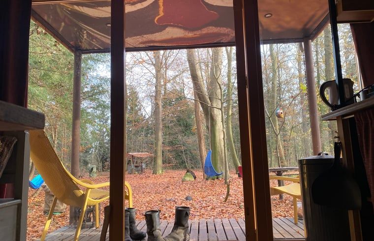 Guest house 172034 - Holiday property Midden Drenthe - Vakantiehuis in Papenvoort