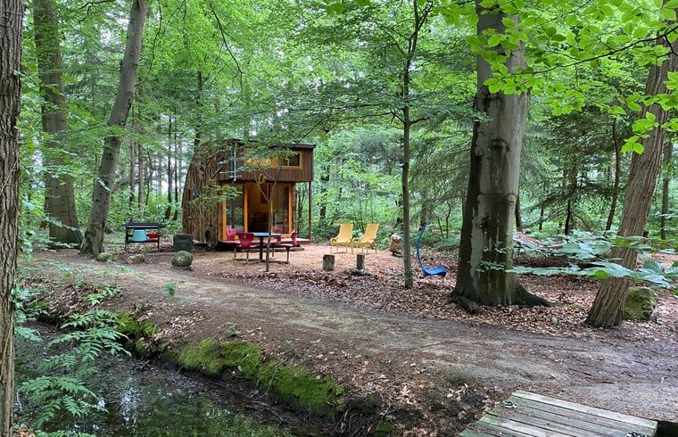 Guest house 172034 - Holiday property Midden Drenthe - Vakantiehuis in Papenvoort