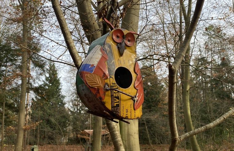 Guest house 172034 - Holiday property Midden Drenthe - Vakantiehuis in Papenvoort