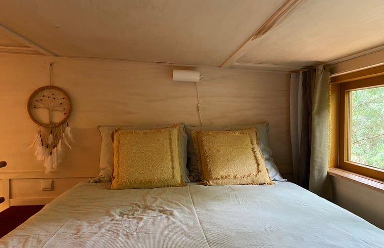 Guest house 172034 - Holiday property Midden Drenthe - Vakantiehuis in Papenvoort