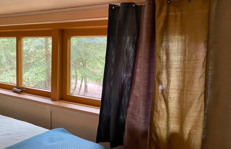 Guest house 172034 - Holiday property Midden Drenthe - Vakantiehuis in Papenvoort