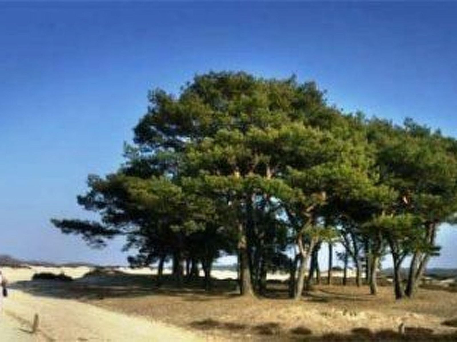 Verblijf 172305 - Vakantiewoning Midden Drenthe - Vakantiehuis 't Anderhoes