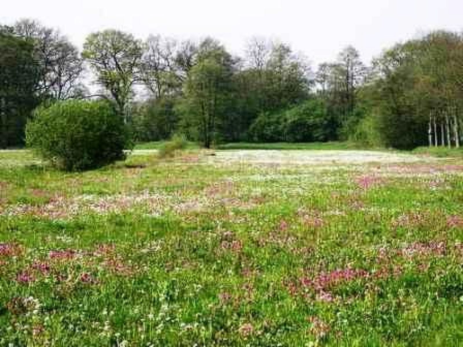 Verblijf 172305 - Vakantiewoning Midden Drenthe - Vakantiehuis 't Anderhoes