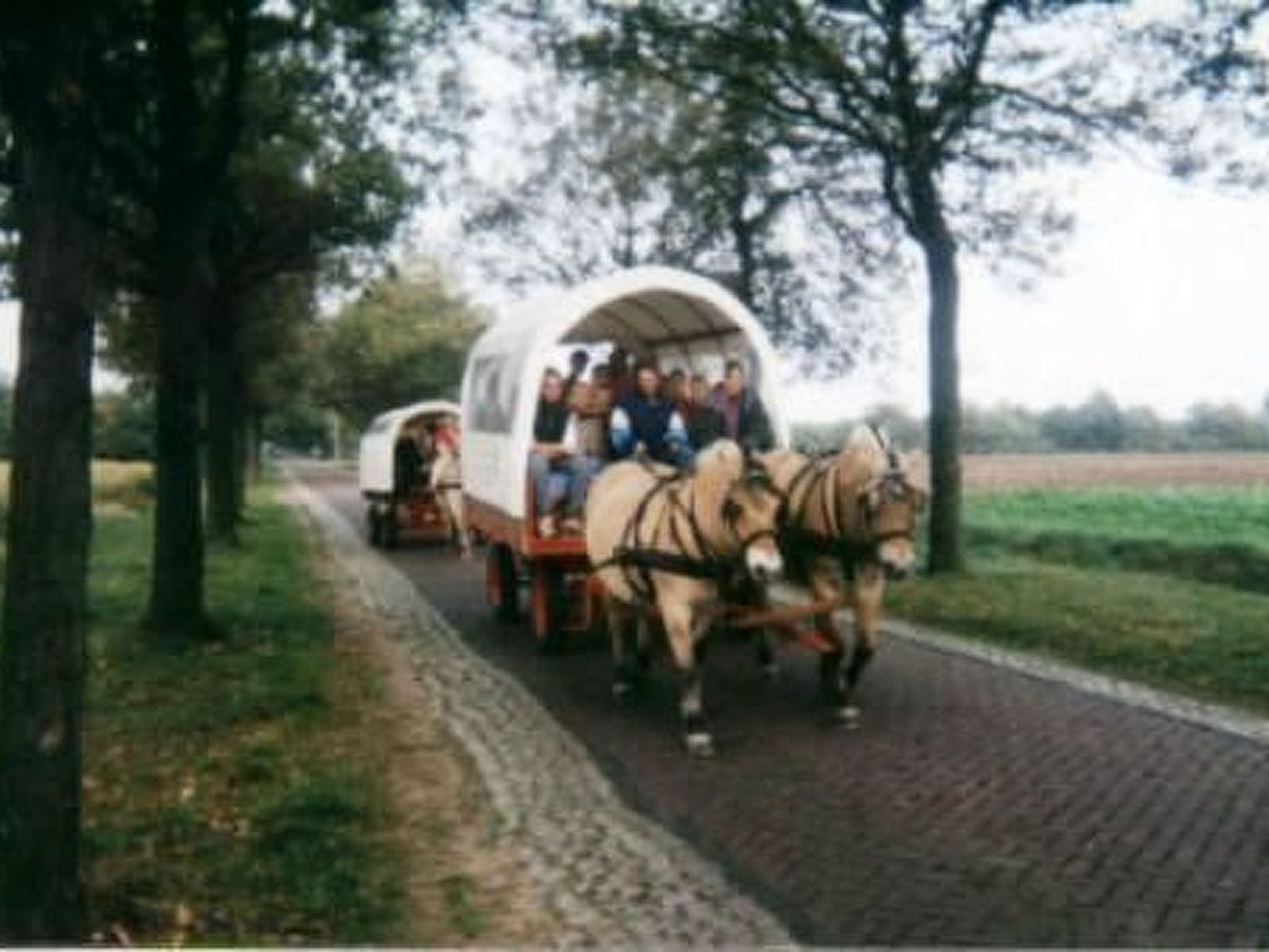 Guest house 172305 - Holiday property Midden Drenthe - Vakantiehuis 't Anderhoes