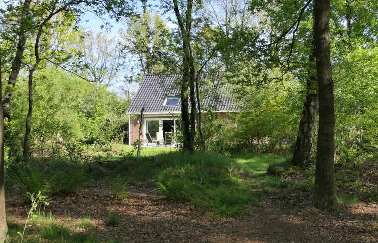 Gezellig vakantiehuis in Westerbork, omringd door weelderige bossen in Midden Drenthe, perfect voor natuurliefhebbers.