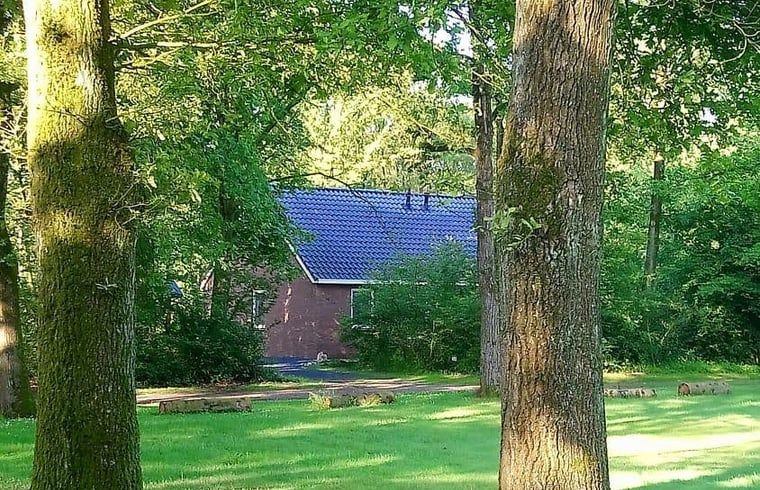 Vakantiehuis in Westerbork, verscholen tussen hoge bomen in de rustige omgeving van Midden Drenthe, Drenthe.
