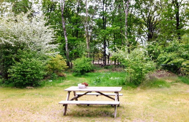 Picknicktafel in de tuin van Vakantiehuis in Westerbork, ideaal voor buitenmaaltijden in Midden Drenthe, Drenthe.