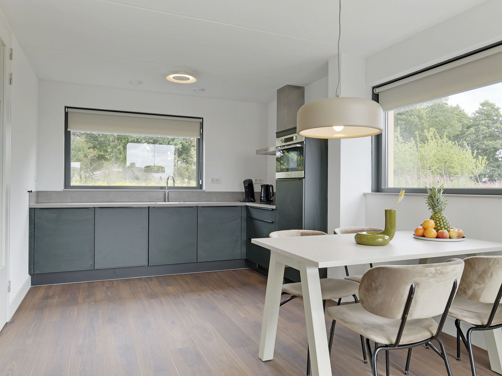 Guest house 172533 - Bungalow Midden Drenthe - 4-persoons vakantiewoning | 4C