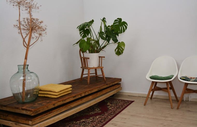 Guest house 172818 - Holiday property Midden Drenthe - Huisje in Hooghalen