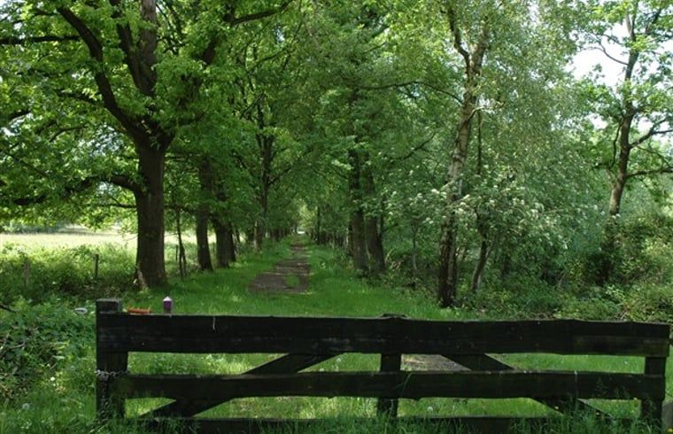 Guest house 172818 - Holiday property Midden Drenthe - Huisje in Hooghalen