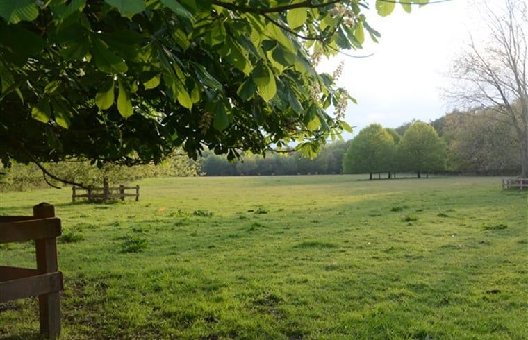 Guest house 172818 - Holiday property Midden Drenthe - Huisje in Hooghalen