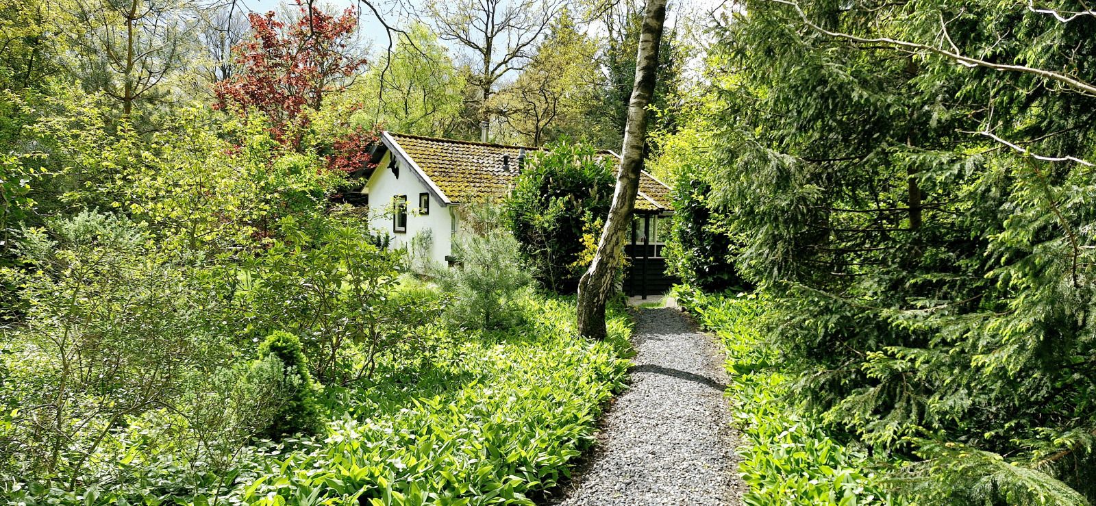 Pittoreske tuinpad naar DG1928 vakantiehuis in Hooghalen, Drenthe.
