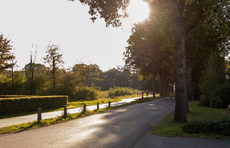 Prachtige omgeving bij Vakantiehuisje in Hooghalen, ontdek de natuur van Midden Drenthe, Drenthe.