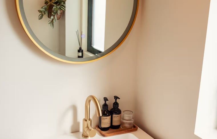 Stijlvolle wastafel in Vakantiehuisje in Hooghalen, moderne badkamer in Midden Drenthe, Drenthe.