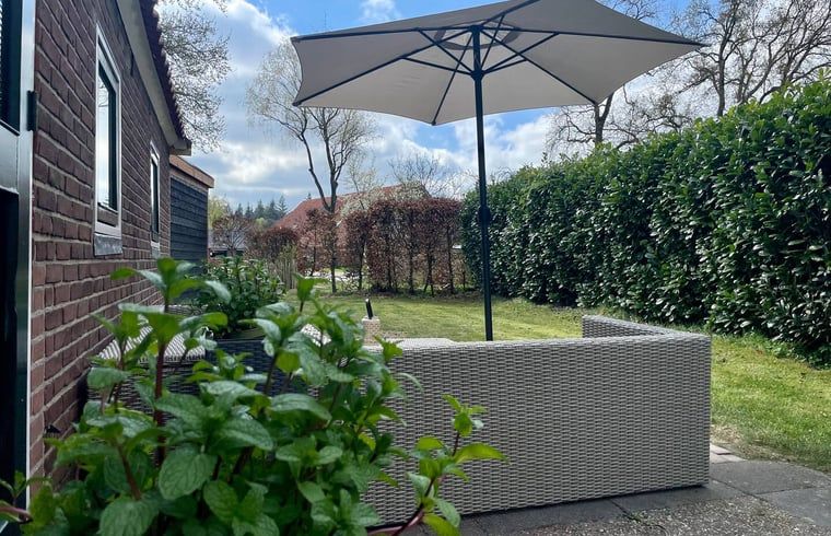 Buitenruimte bij Vakantiehuisje in Hooghalen met groen uitzicht, geniet van de natuur in Midden Drenthe, Drenthe.